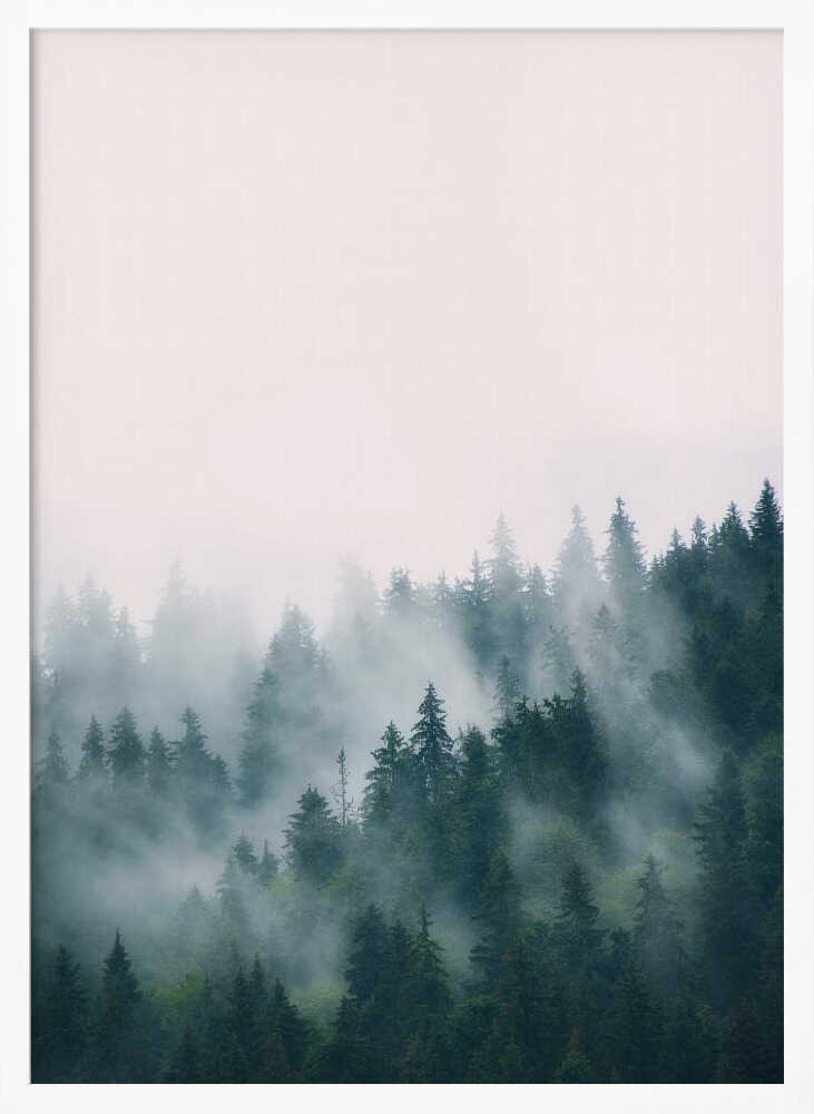 Forest Poster
