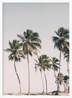 Blush Tropical Trees Poster