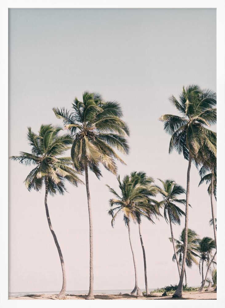 Blush Tropical Trees Poster