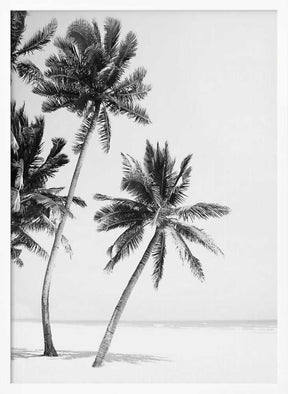 Island Poster