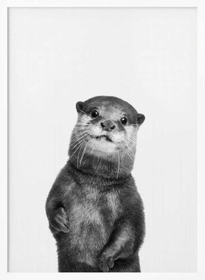 Otter Poster