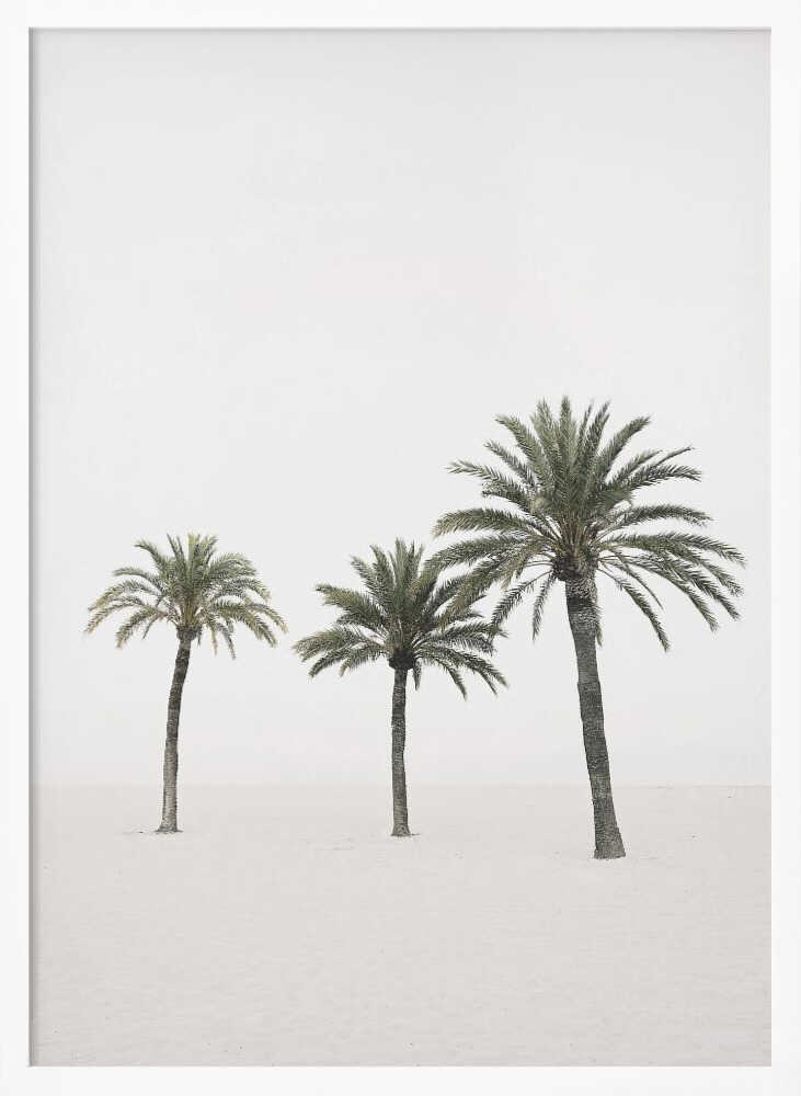 Palms Poster