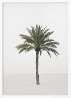 Palm Poster