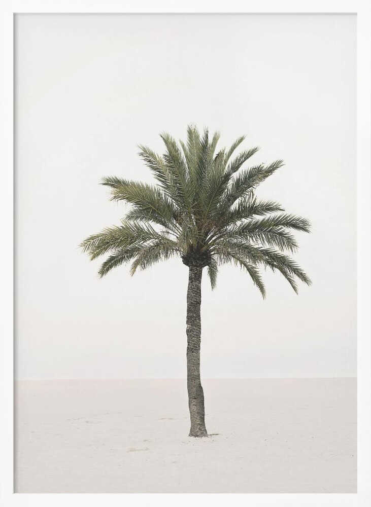 Palm Poster