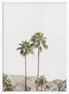 Palm Springs Palms Poster
