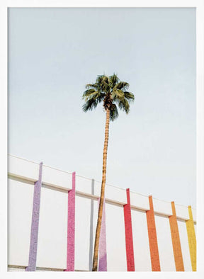 Palm Spring Colors 2 Poster
