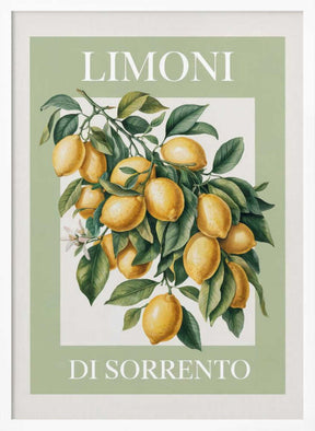 Limoni Di Sorrento 2 Poster