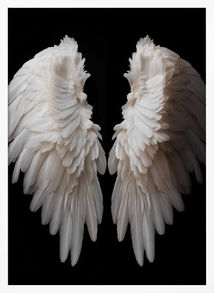 White Wings Poster