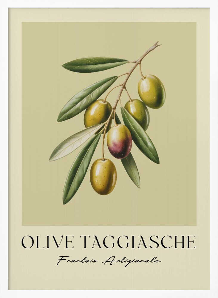 Olive Taggiasche Poster