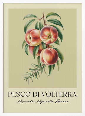 Pesco Di Volterra Poster