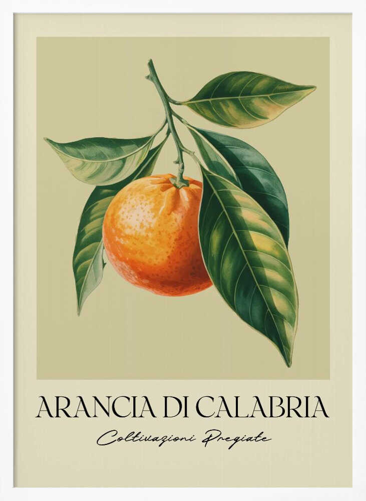 Arancia Di Calabria Poster