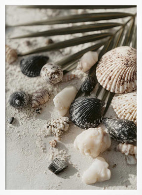 Shell stories no 03 Poster