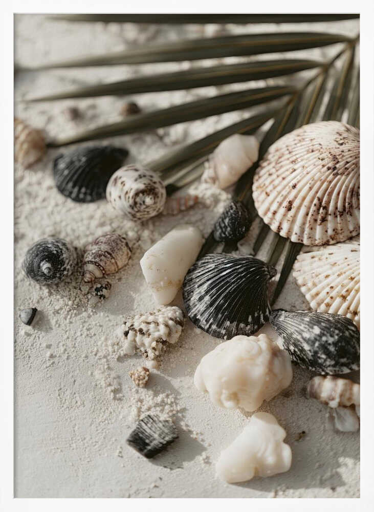 Shell stories no 03 Poster