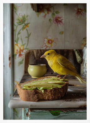 Avocado Breakfast Poster