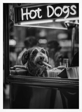 Hot Dog Dreams Poster