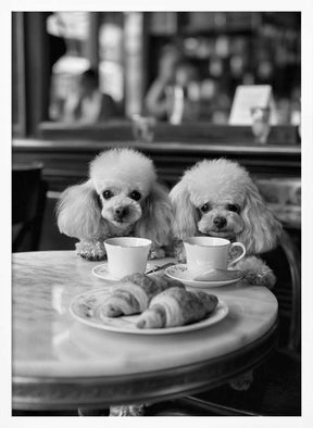 Poodles At the Café Poster