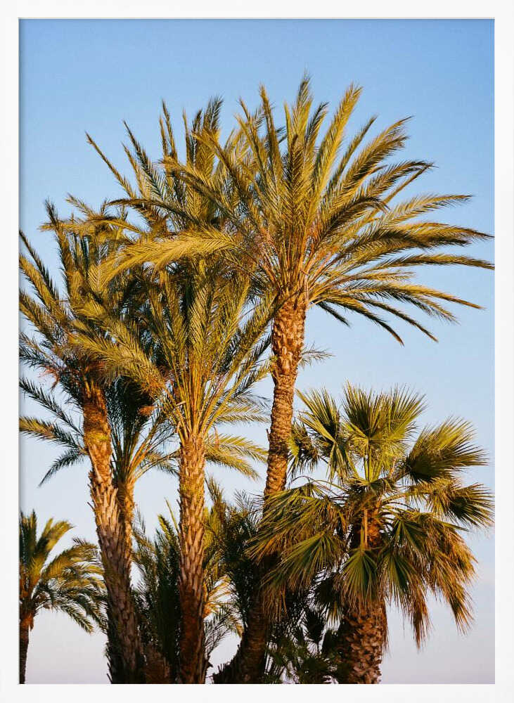 Nice France V on Film Poster