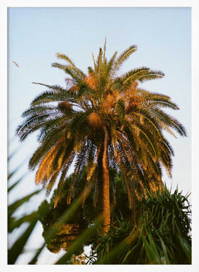 Nice France XII on Film Poster