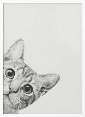 Curious Cat Poster