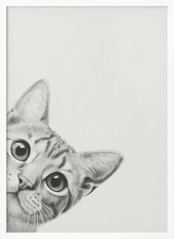 Curious Cat Poster