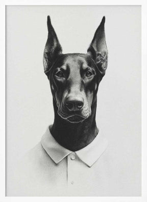 Doberman In Polo Shirt Poster