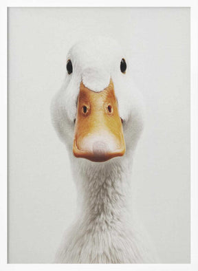 The White Duck Poster