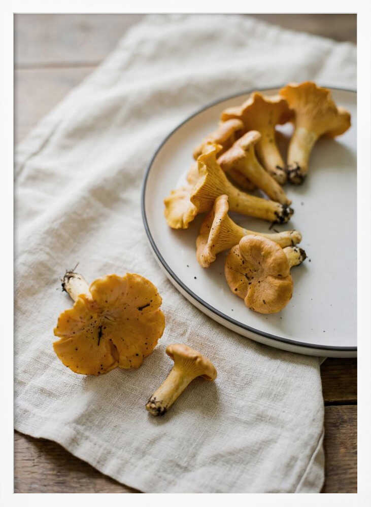 Chanterelle Mushrooms Poster