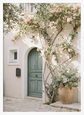 Mediterranean Door Poster