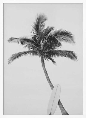 Palm Surfboard Poster