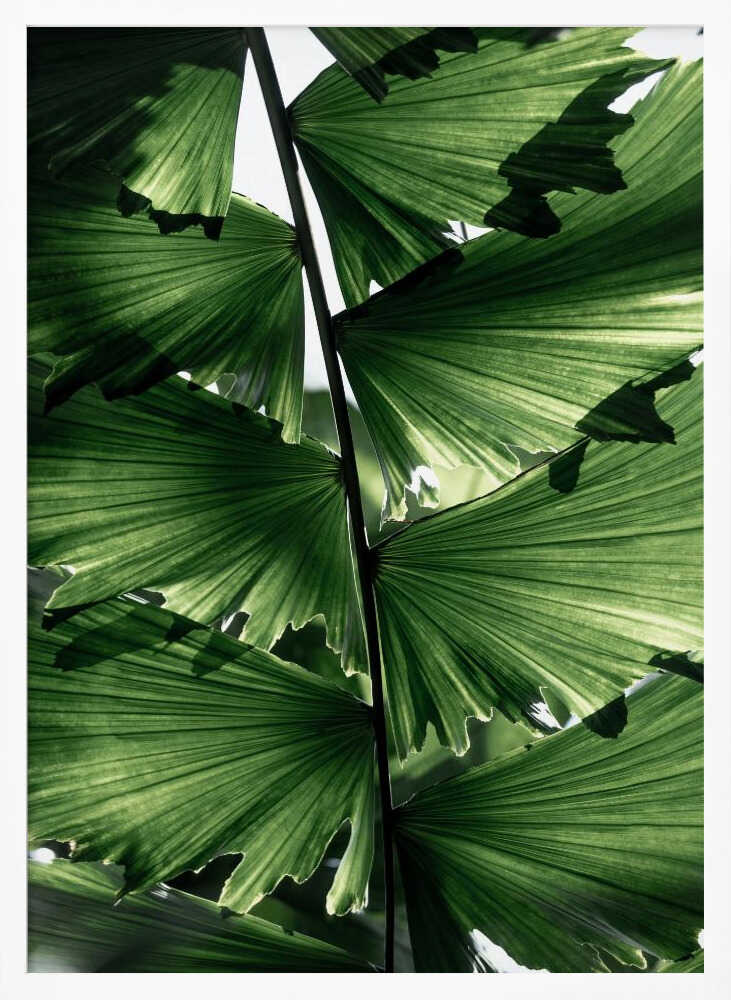 Tropical Green Palm Glow Poster