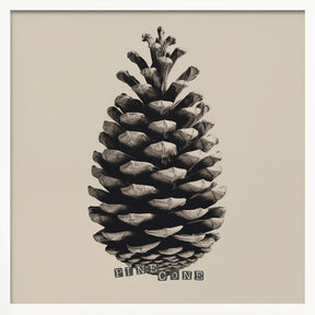 Pine Cone Poster