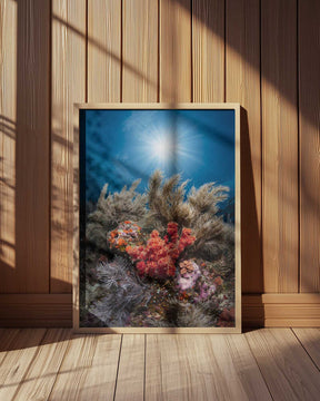 Underwater life Poster