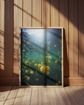 Lenmakana Jellyfish Poster