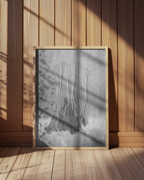 Mangrove… Poster