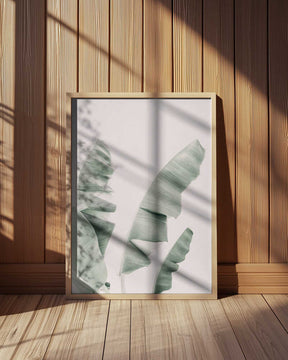 Blush Banana Leaves Poster