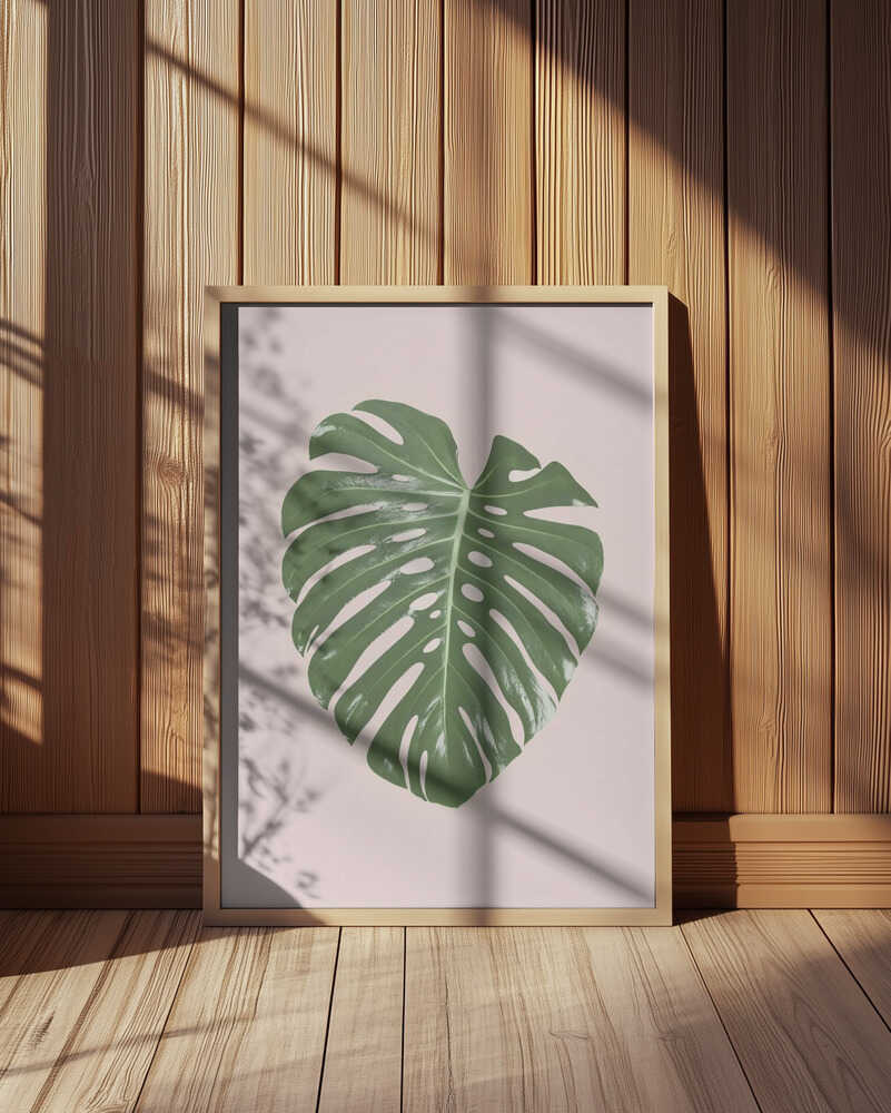 Monstera Leaf Blush Poster