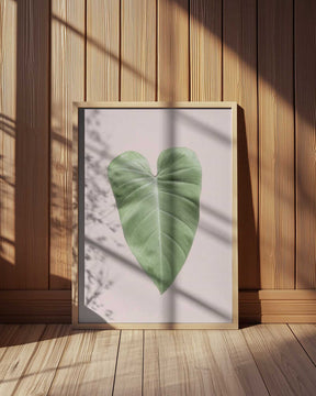 Tropical Leaf Blush Poster