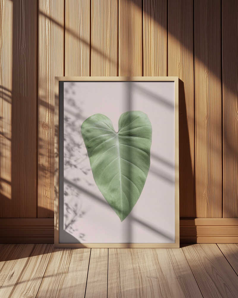 Tropical Leaf Blush Poster