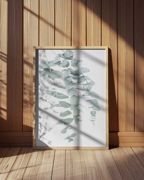 Eucalyptus I Poster