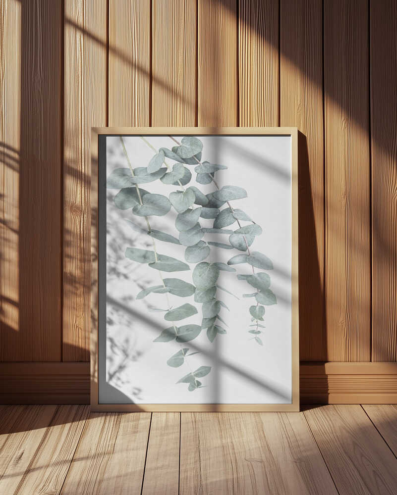 Eucalyptus I Poster
