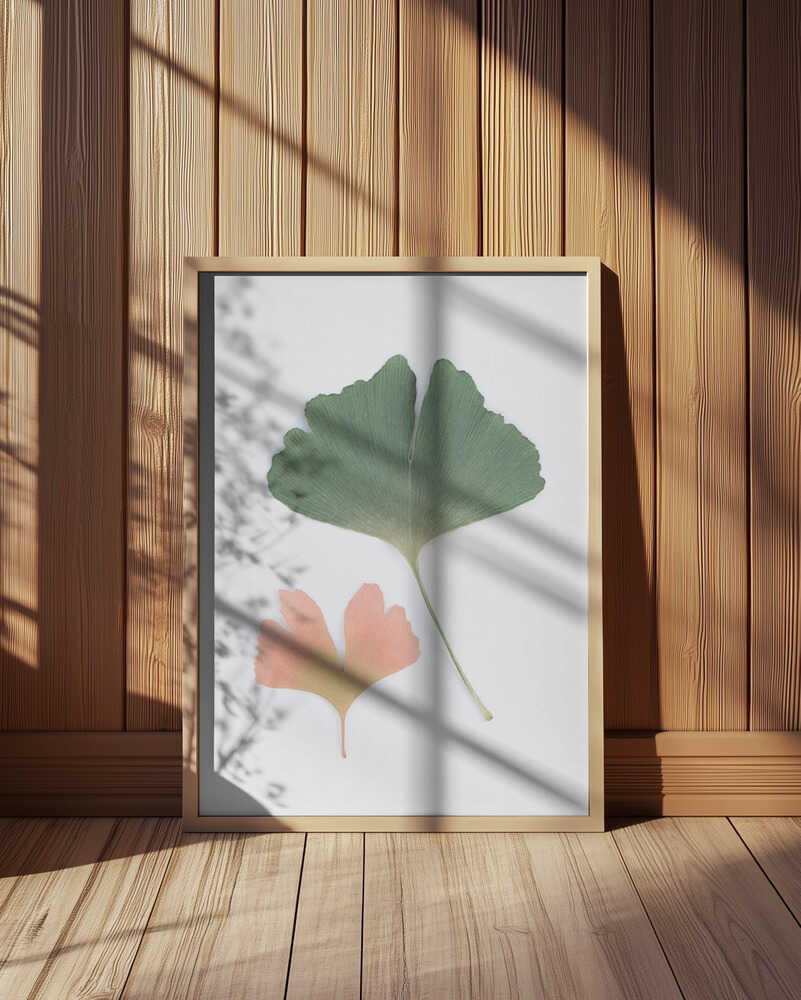 Pastel Ginkgo Poster