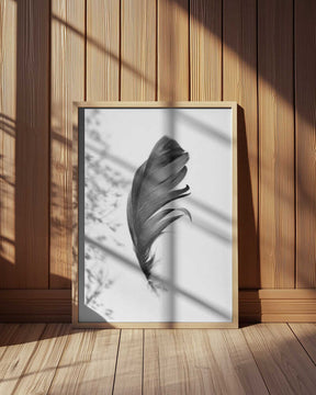 Feather Poster