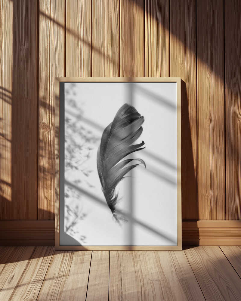 Feather Poster