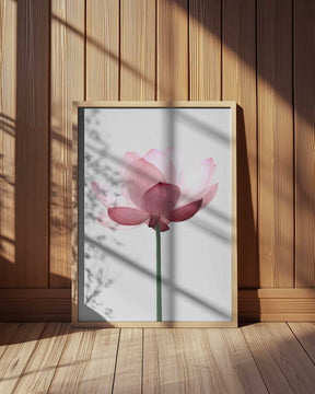 Lotus Flower Poster