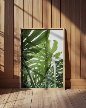 Jungle Poster