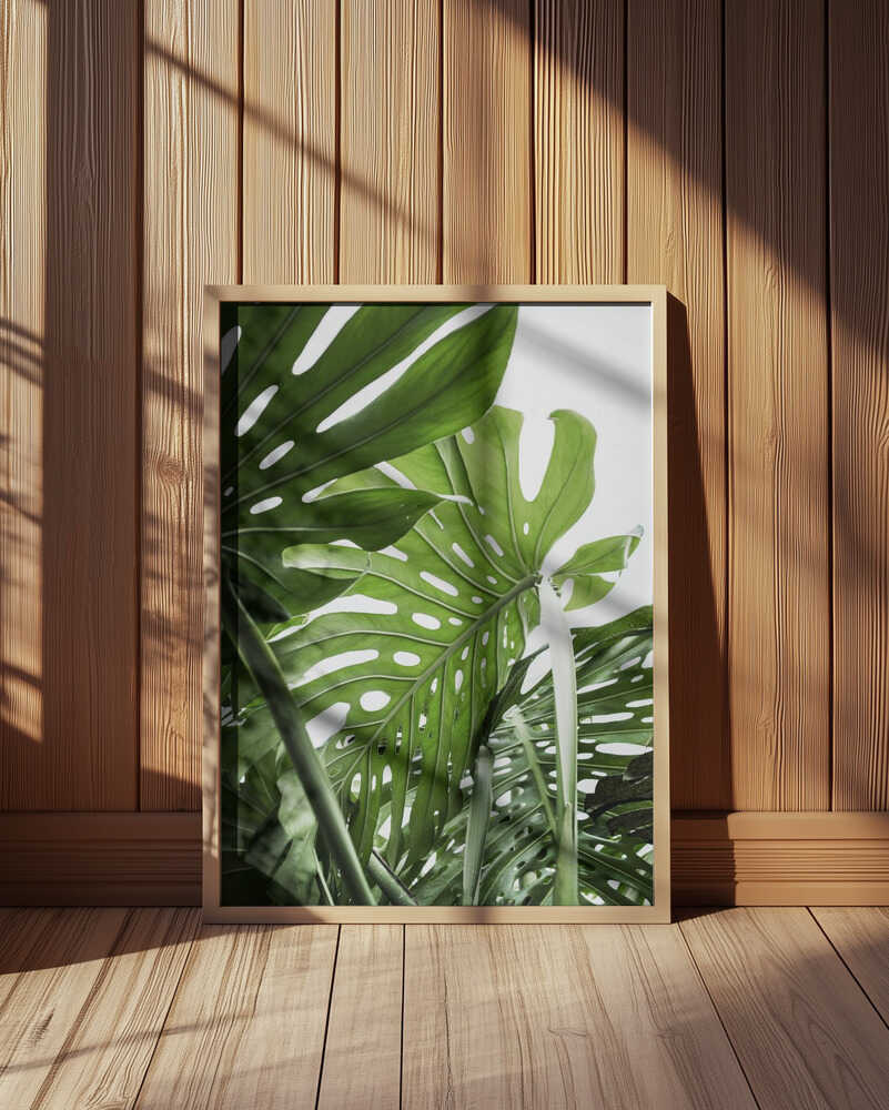 Jungle Poster