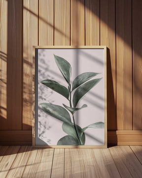 Foliage on Pink Poster