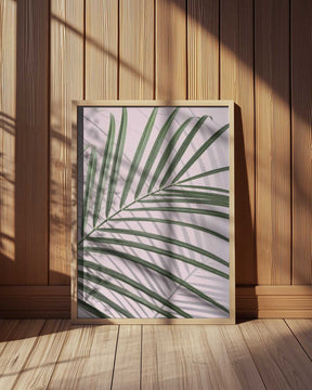 Palm Leaf Shadow Poster