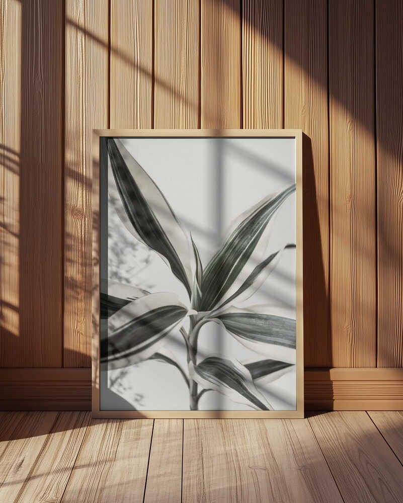Foliage Poster