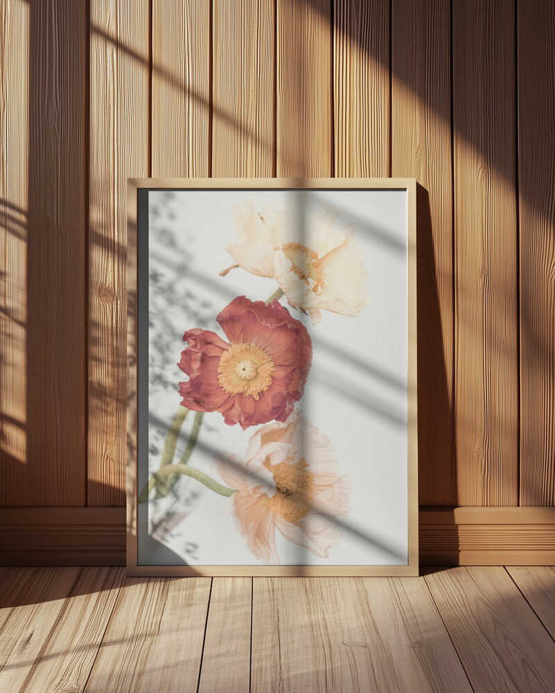 Poppies Poster